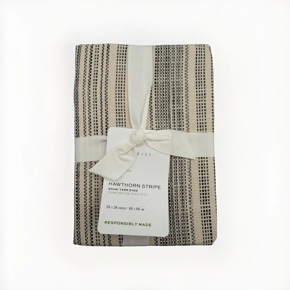 Pottery Barn Hawthorn Pin Striped EURO Shams Charcoal Gray Taupe Set Of 2 NEW
